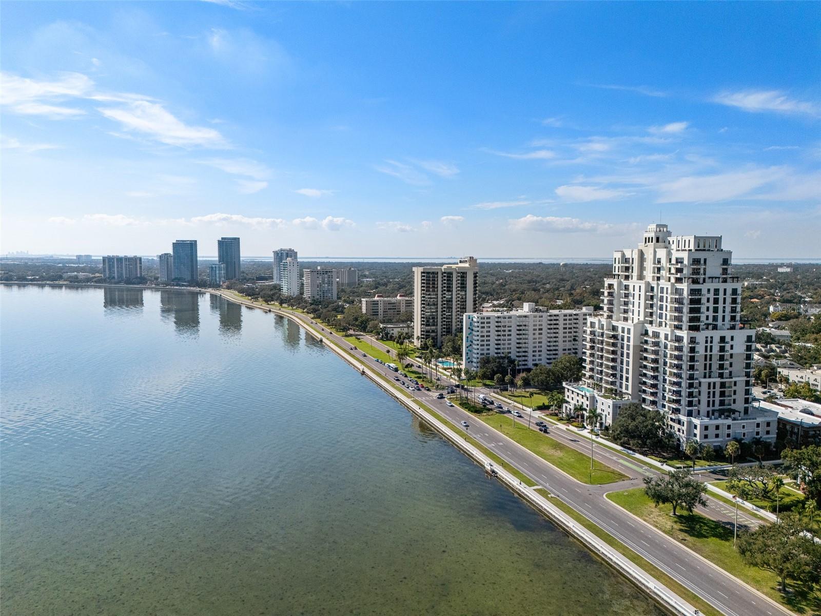 2401 BAYSHORE BLVD #310