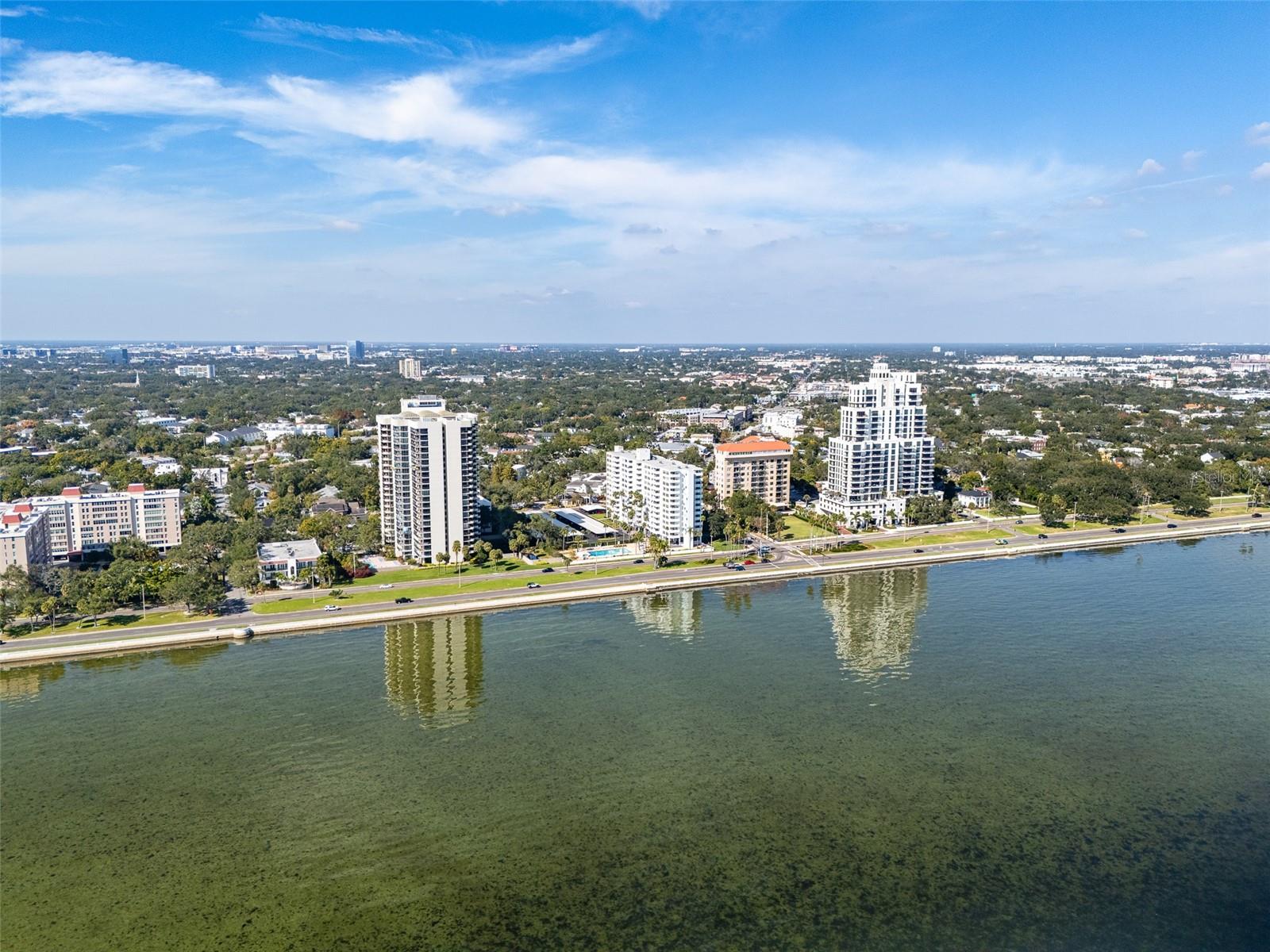 2401 BAYSHORE BLVD #310