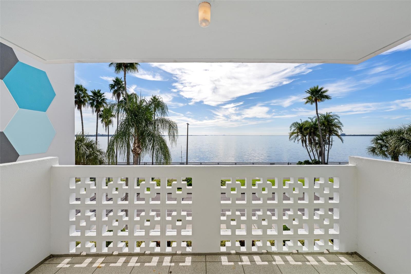 2401 BAYSHORE BLVD #310