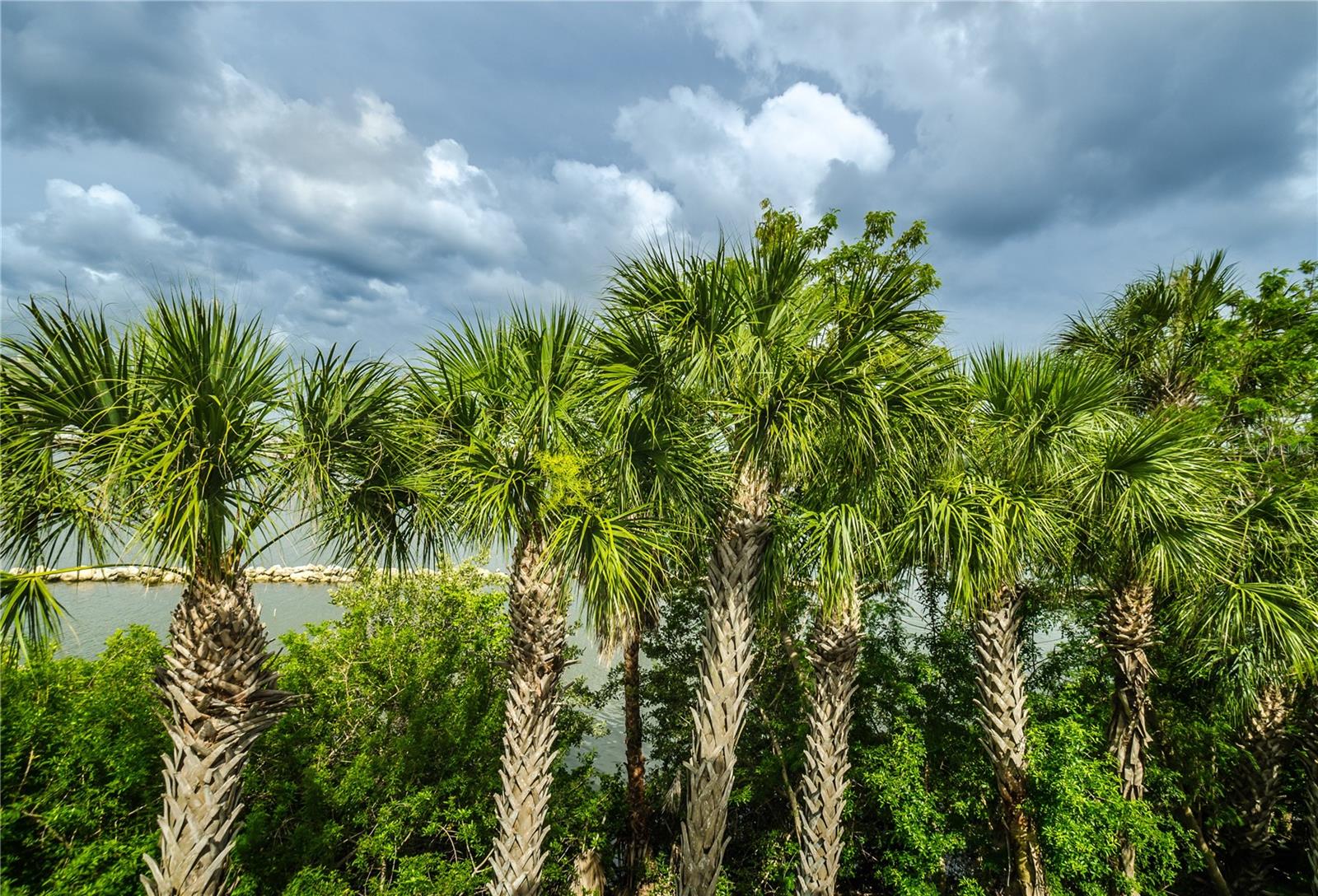 924 HEMINGWAY CIRCLE