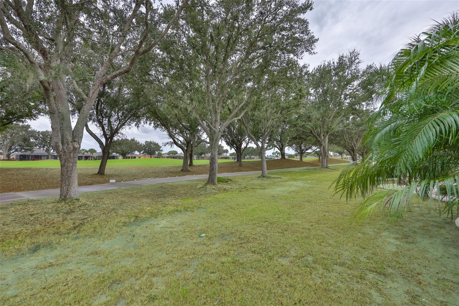 1118 EMERALD DUNES DR