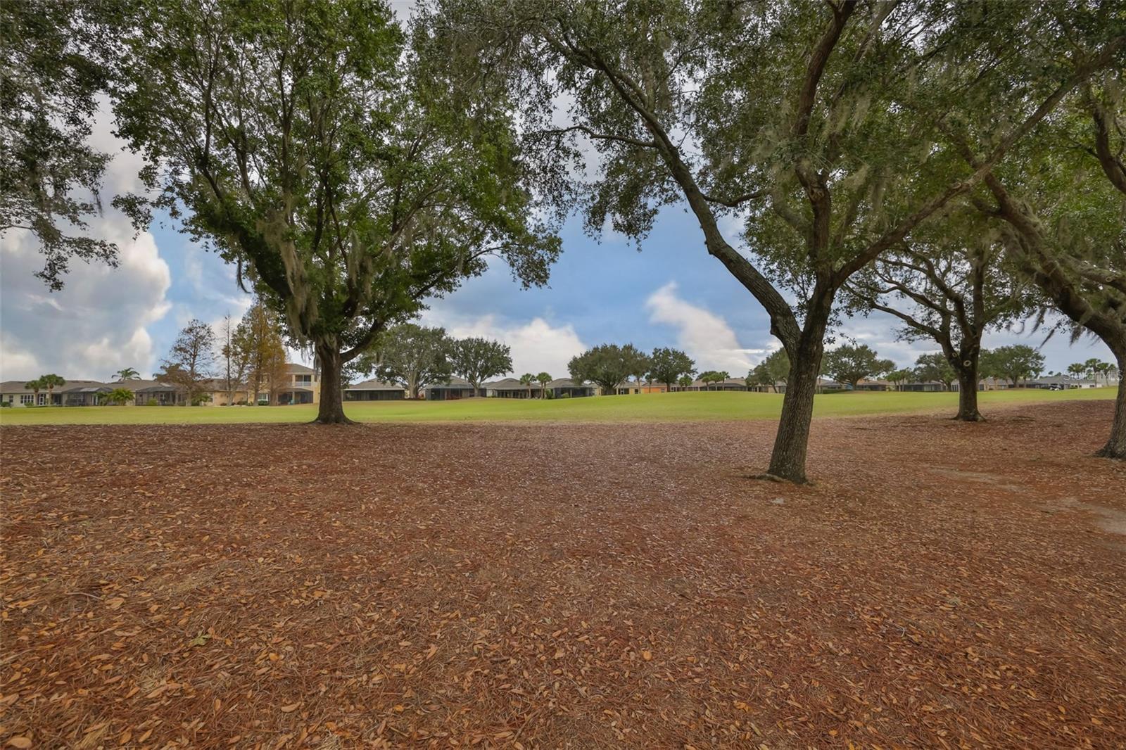 1118 EMERALD DUNES DR