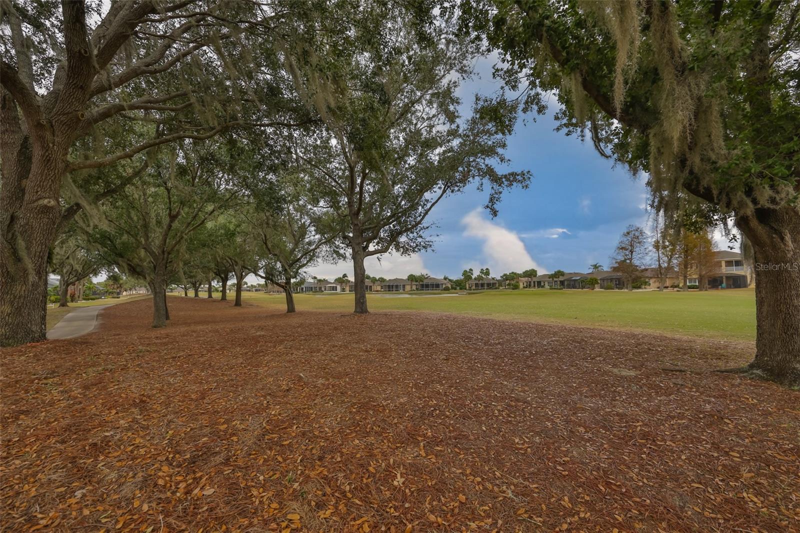 1118 EMERALD DUNES DR