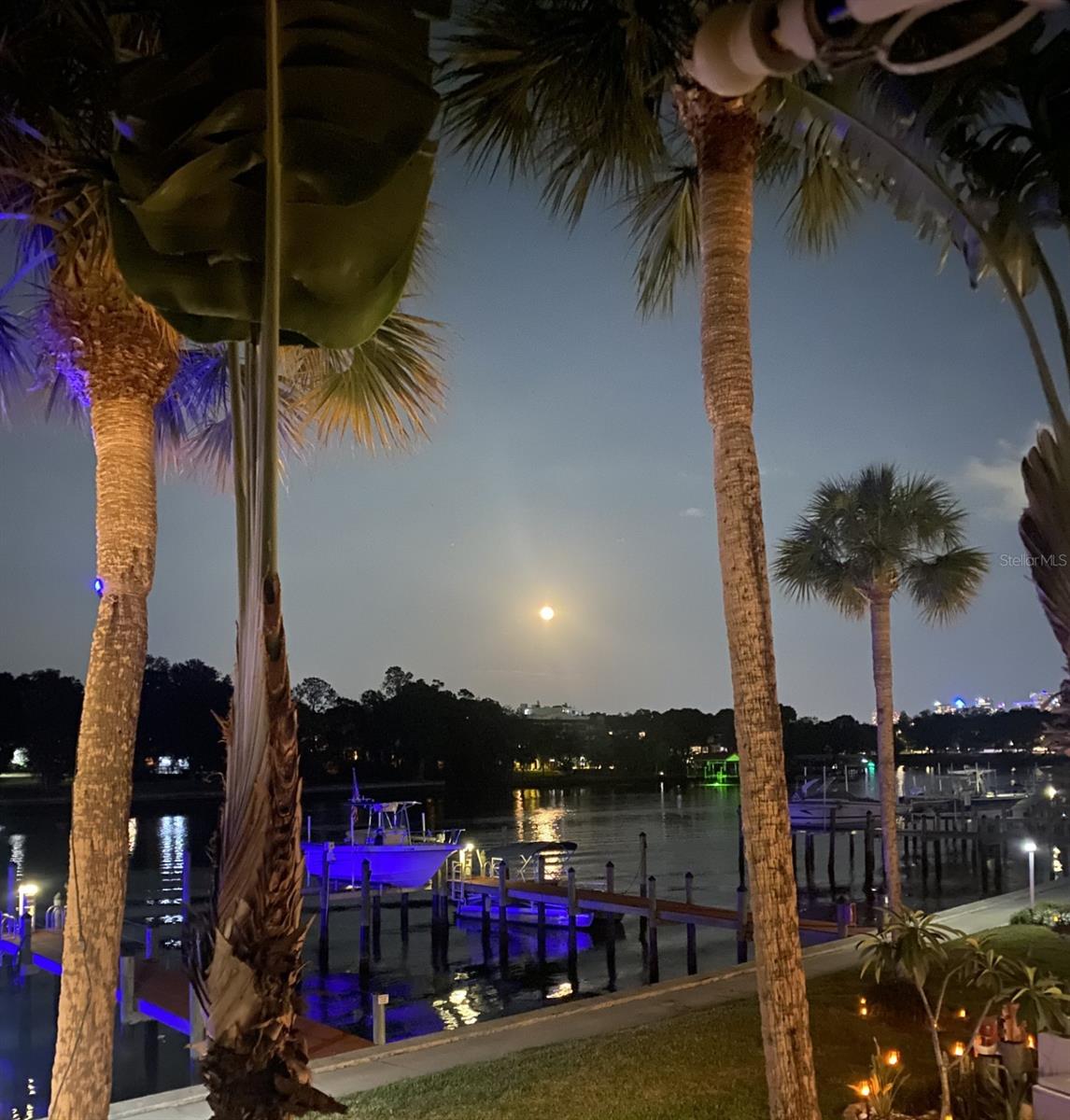 2424 W TAMPA BAY BLVD #F103