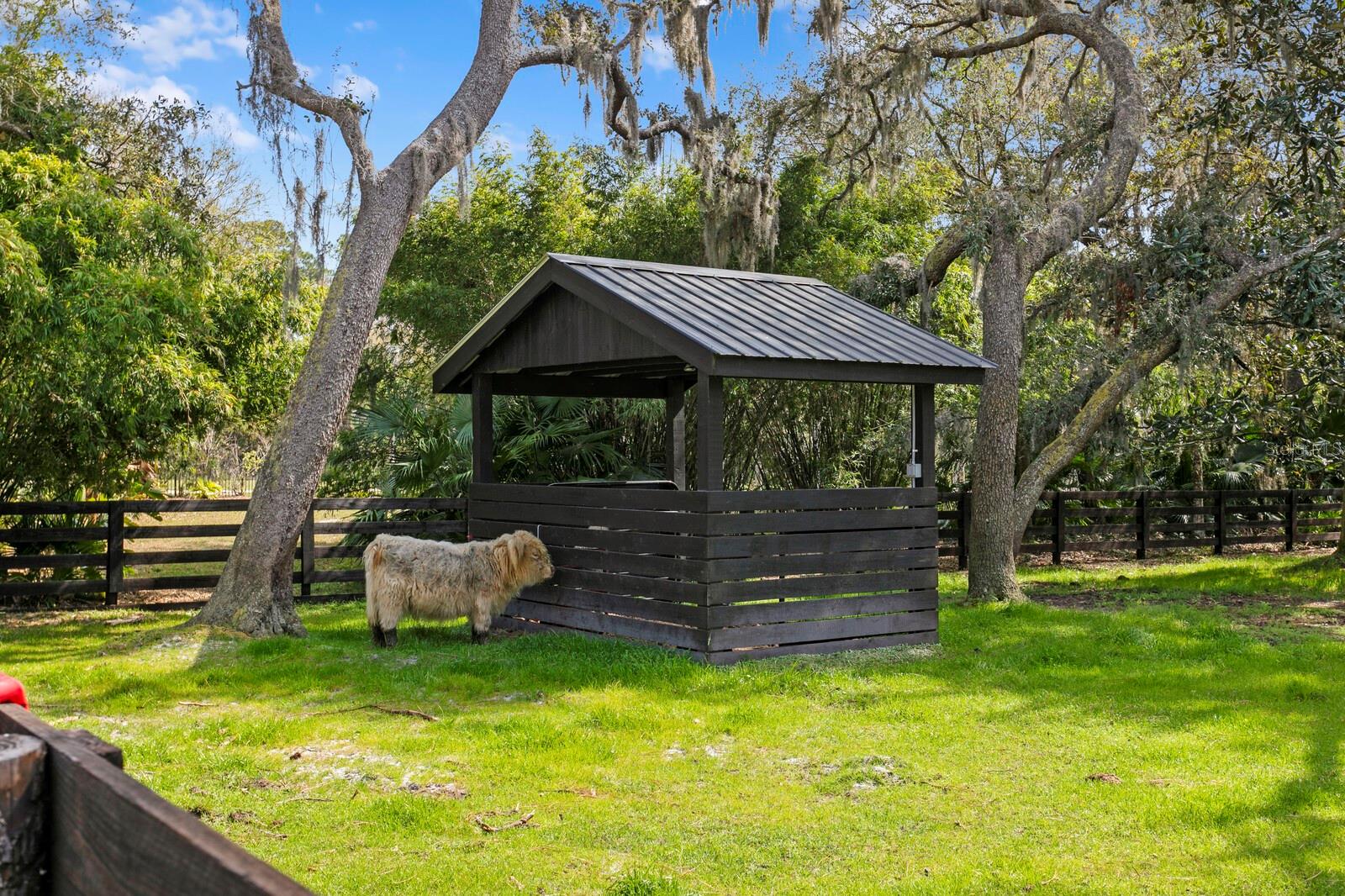 10101 TARPON SPRINGS RD