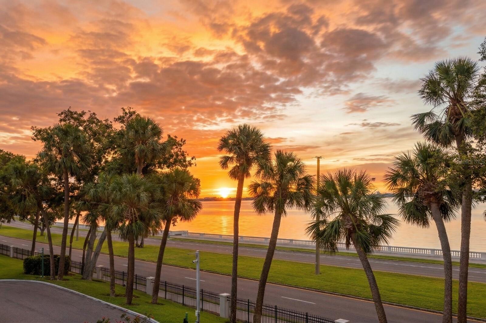 2619 BAYSHORE BLVD #200