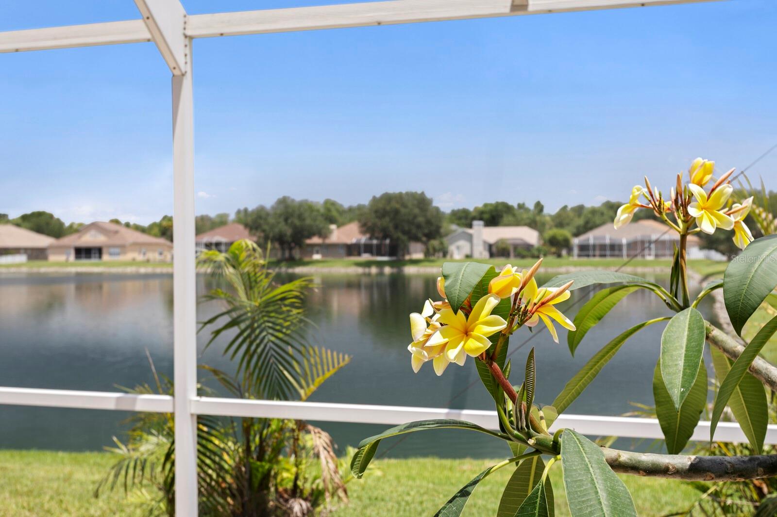 22953 BAY CEDAR DR