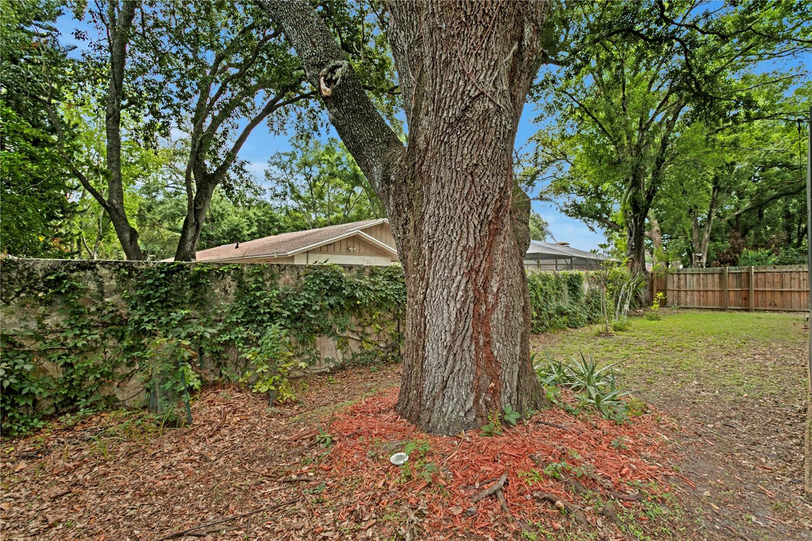 12603 RAIN FOREST ST
