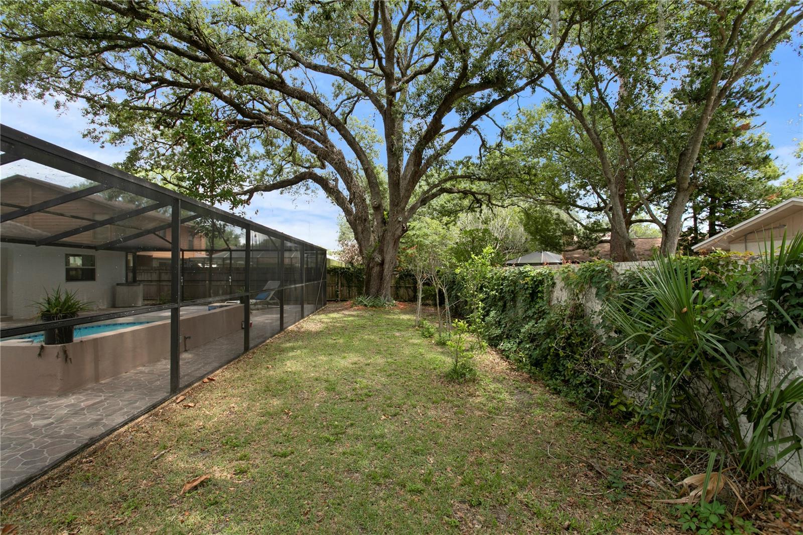 12603 RAIN FOREST ST