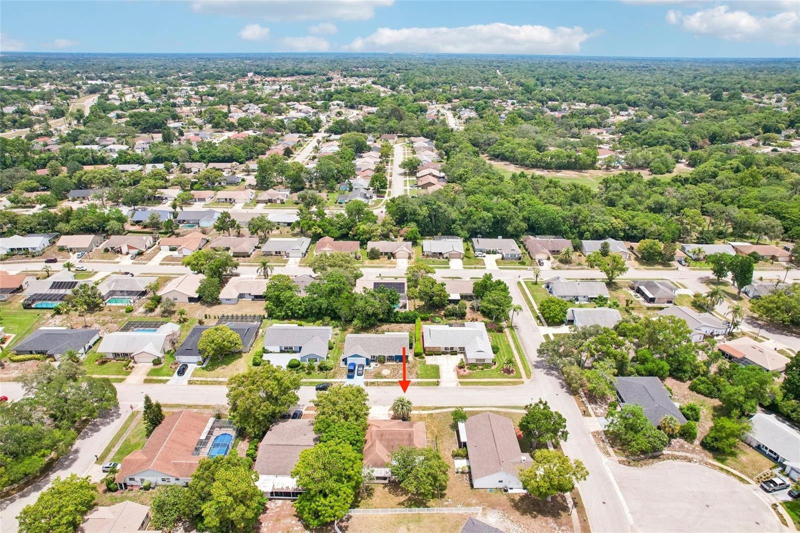 13403 RAYBURN RD