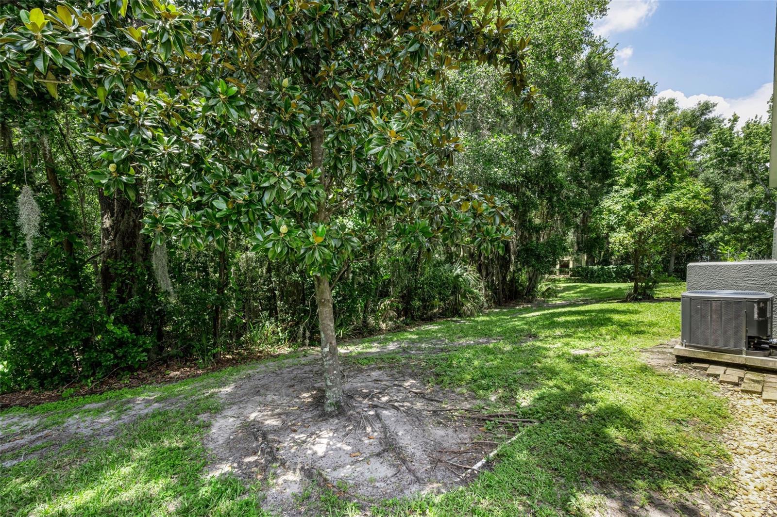 2418 EARLSWOOD CT