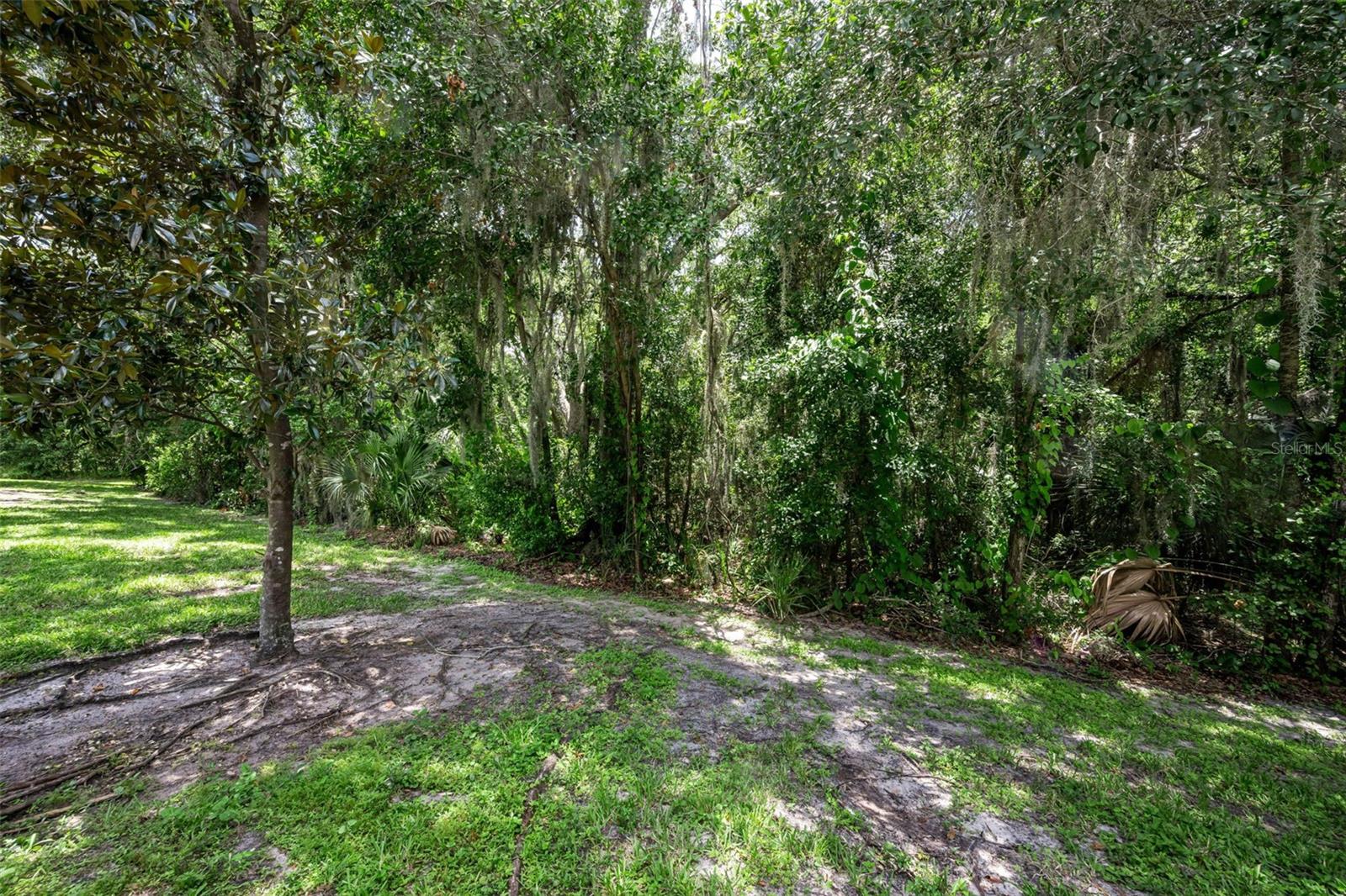 2418 EARLSWOOD CT