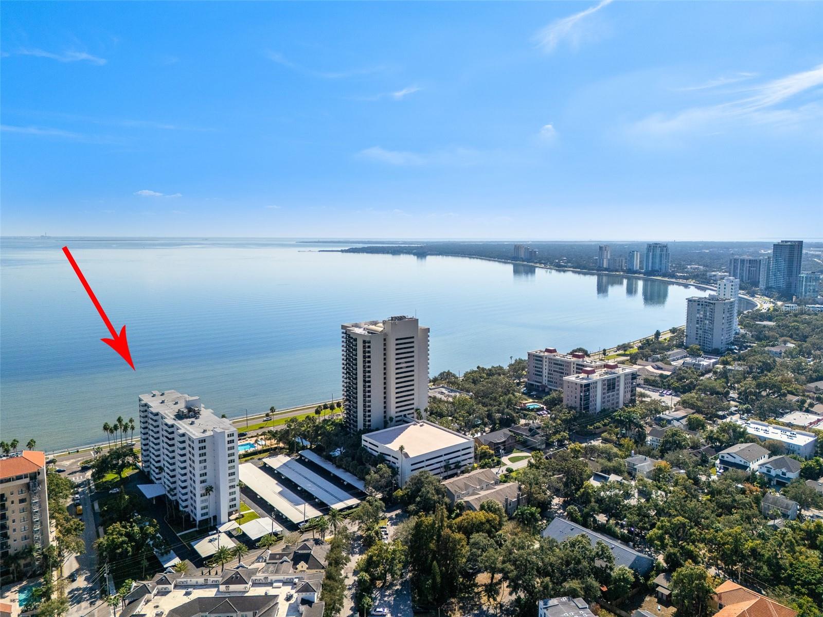 2401 BAYSHORE BLVD #203