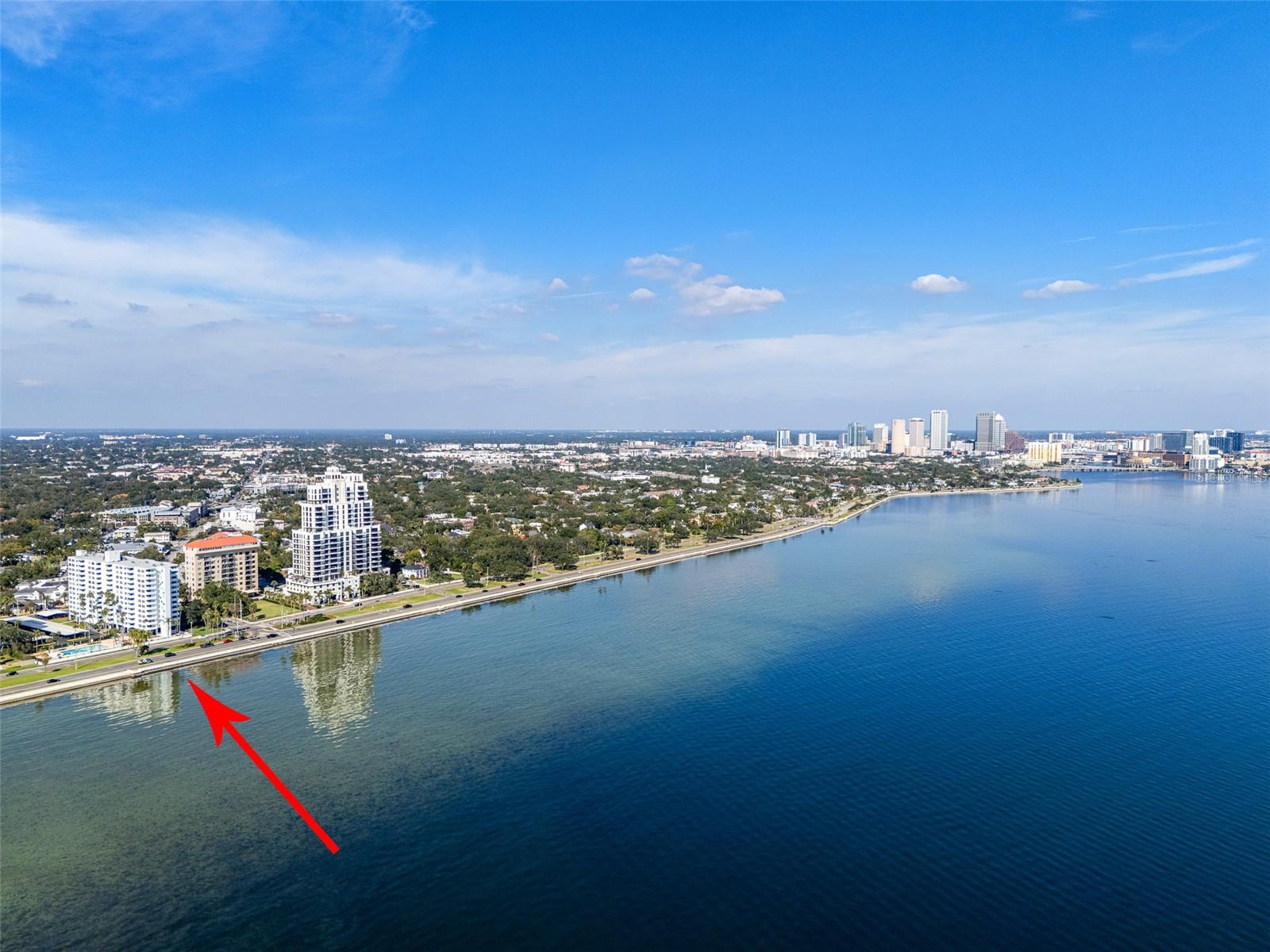 2401 BAYSHORE BLVD #203