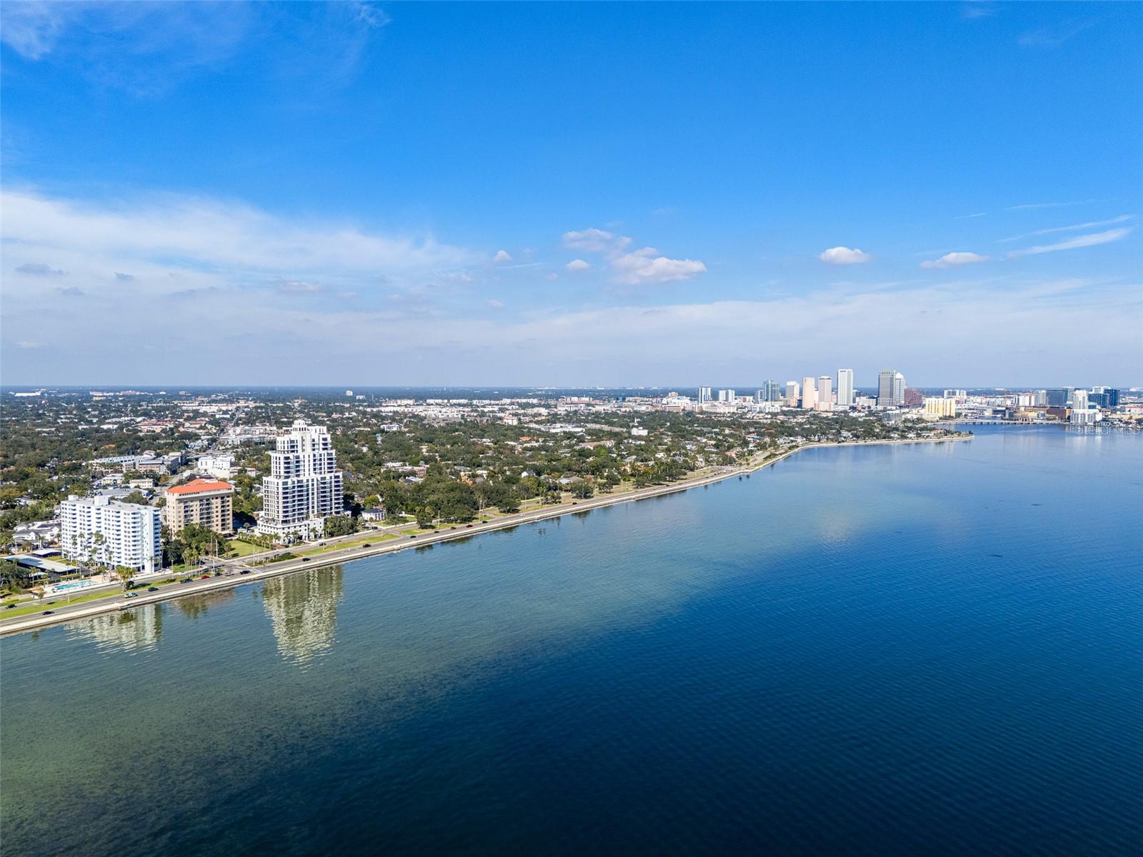 2401 BAYSHORE BLVD #203