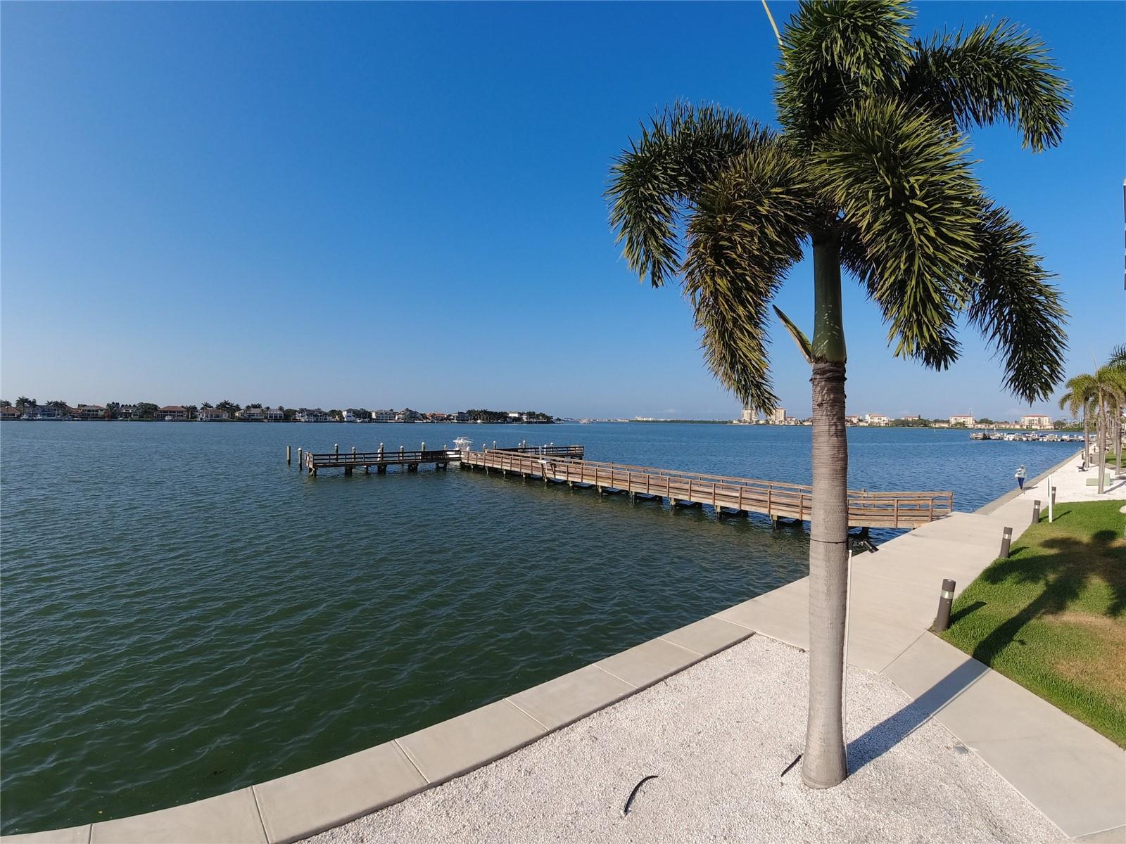 5020 BRITTANY DR S #313