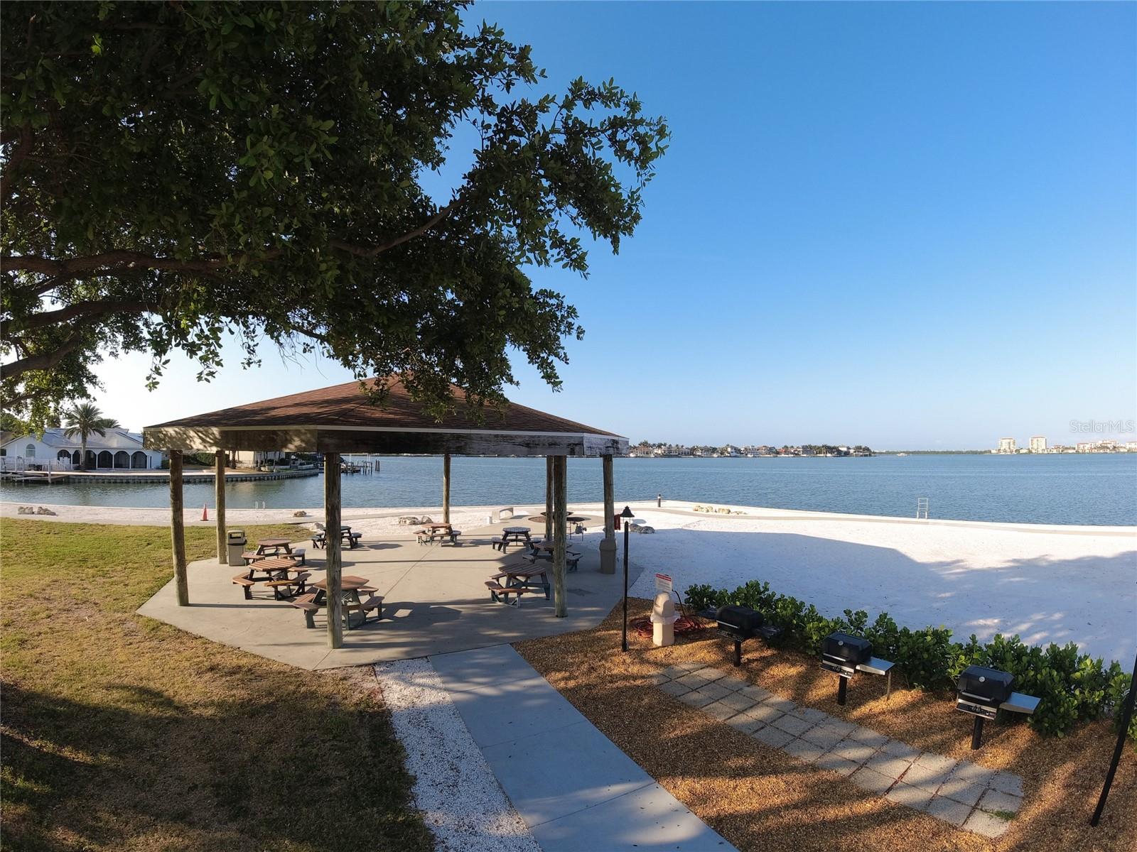 5020 BRITTANY DR S #313