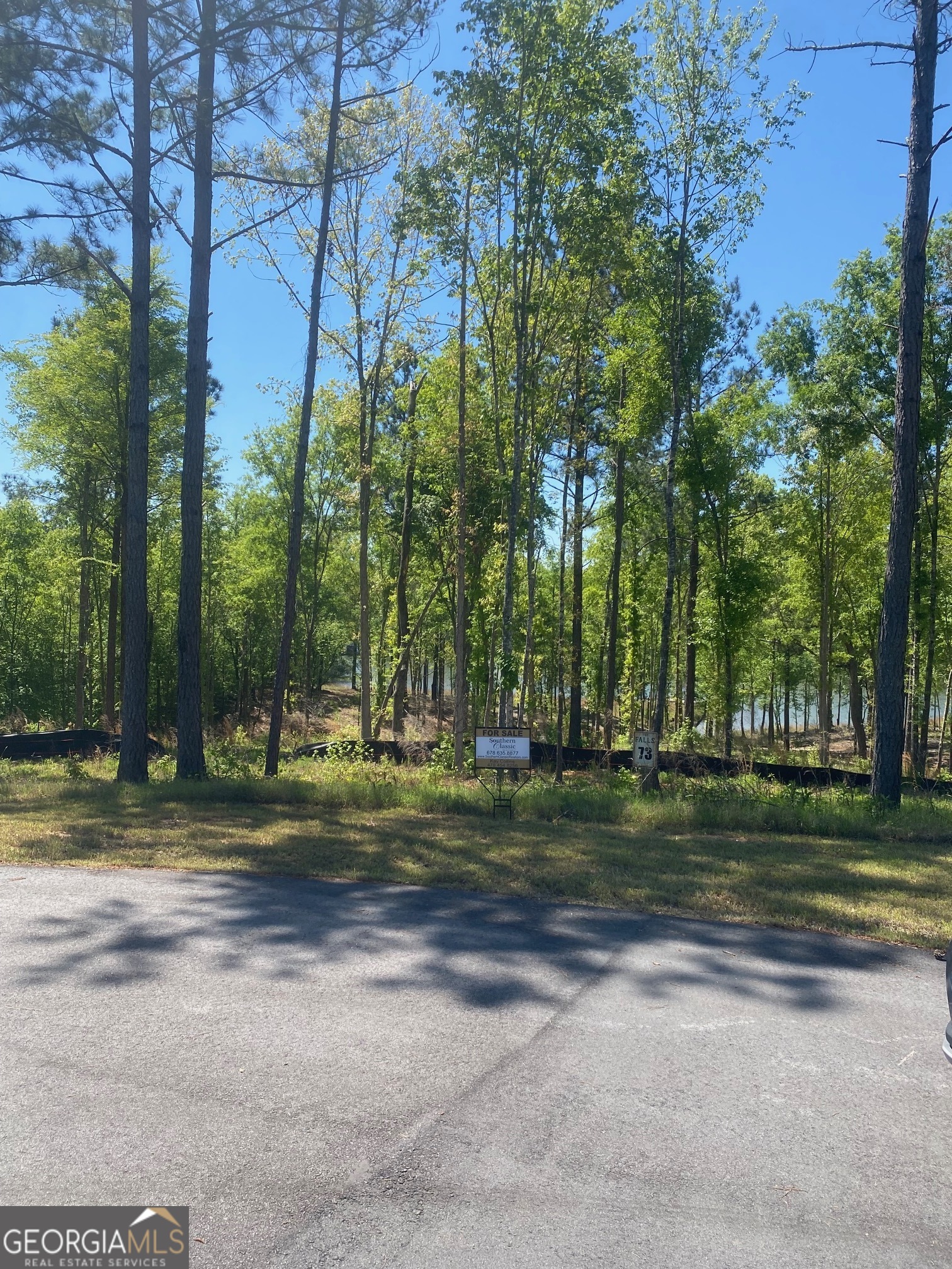 Wooded vacant lot with a for-sale sign and water visible through the trees.
