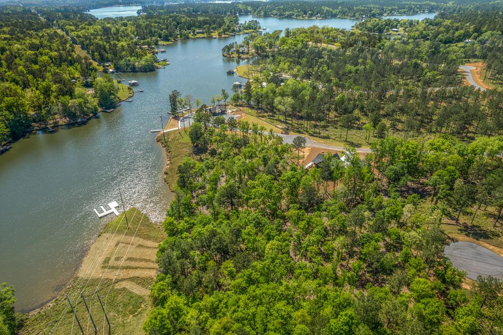 Aerial view of wooded lakefront property with a dock and homes along the shoreline.