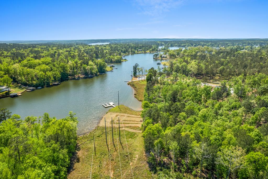 Aerial view of a wooded lakefront property with a cleared path to the water and a small dock.