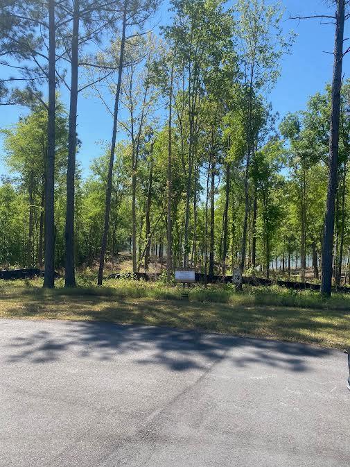 Wooded vacant lot along a paved road, with mature trees and a small roadside sign.