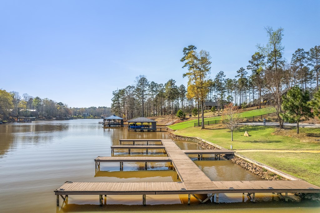 Lakefront docks and a wooden walkway extend into the water beside a grassy, tree-lined shore.