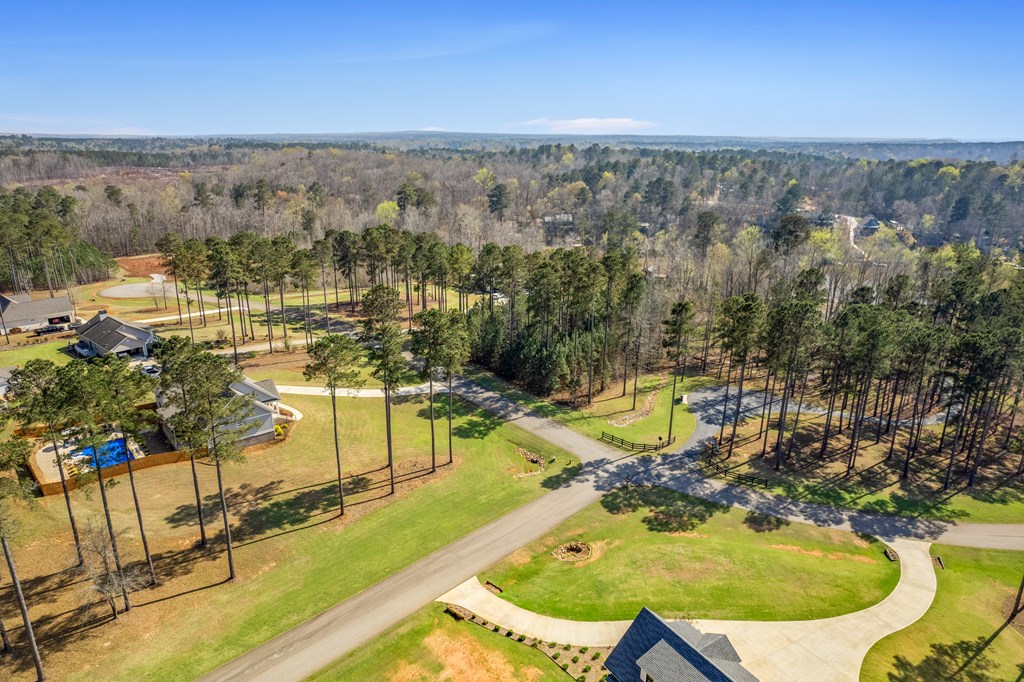 Aerial view of a wooded residential area with a curved road and landscaped lawns.