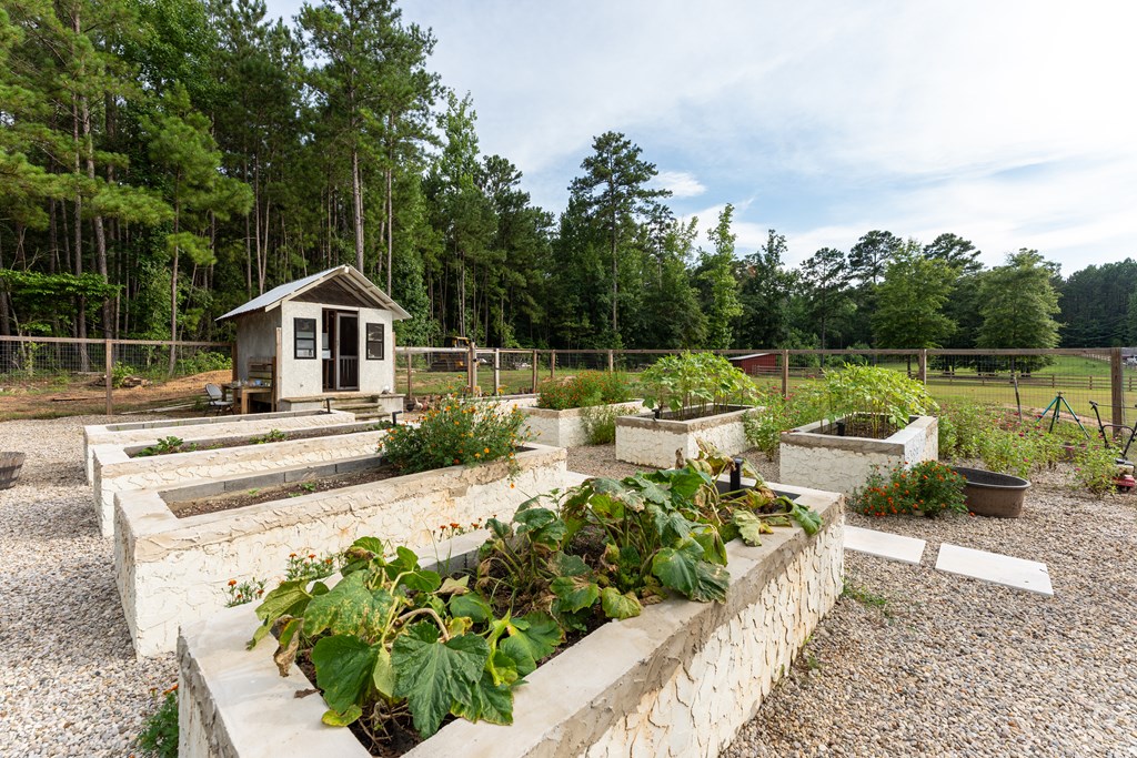 Raised garden beds with vegetables and flowers beside a small shed, backed by woods.