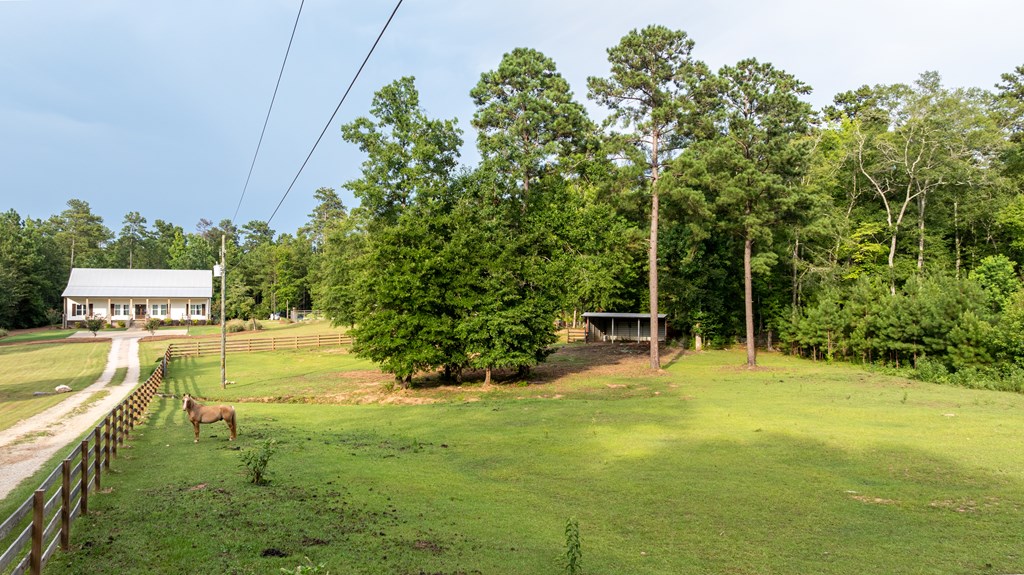 Rural property with a fenced pasture and horse, house at left and woods behind.