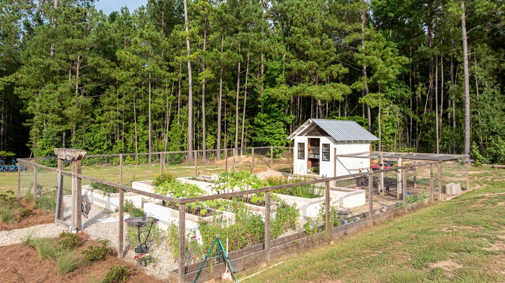 Fenced vegetable garden with raised beds and a small white shed beside a pine forest.