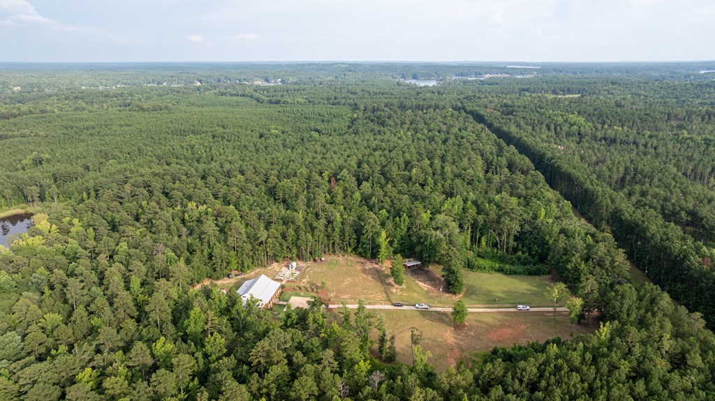 Aerial view of a wooded property with a cleared homesite, outbuildings, and a long driveway.