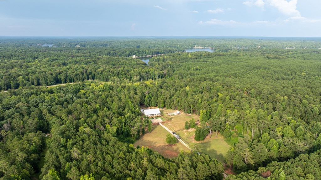 Aerial view of a wooded property with a clearing, driveway, and distant lake.