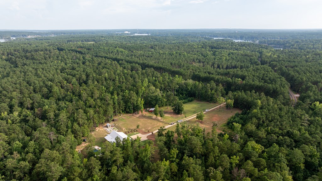 Aerial view of a wooded property with a house, outbuildings, and a long driveway.