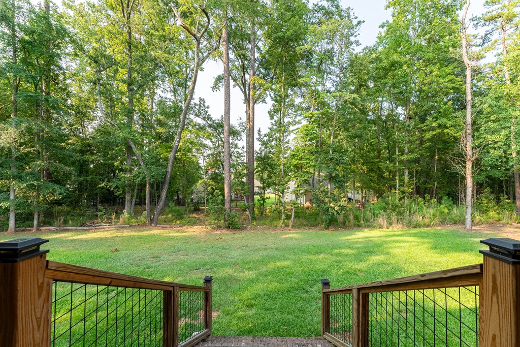 Wooded backyard with a broad lawn, seen from a deck with metal railings.