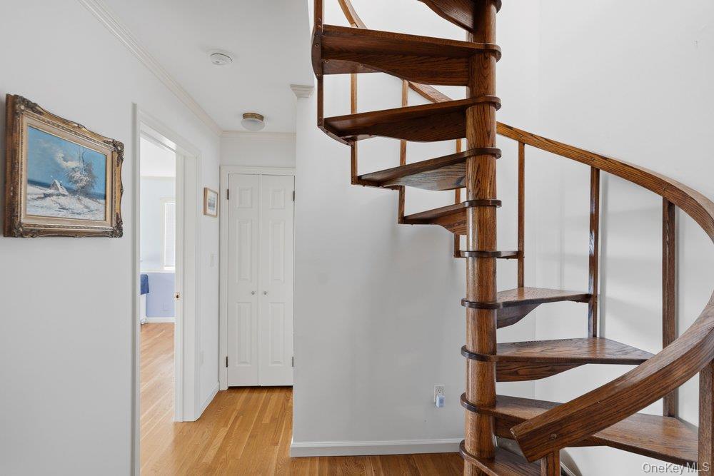 282 Belvedere Drive