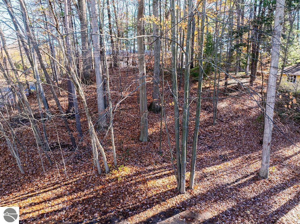 Aerial view of a wooded property with fallen leaves and mature trees.