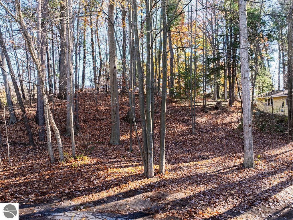 Wooded, sloping lot covered in autumn leaves, with part of a neighboring house visible.