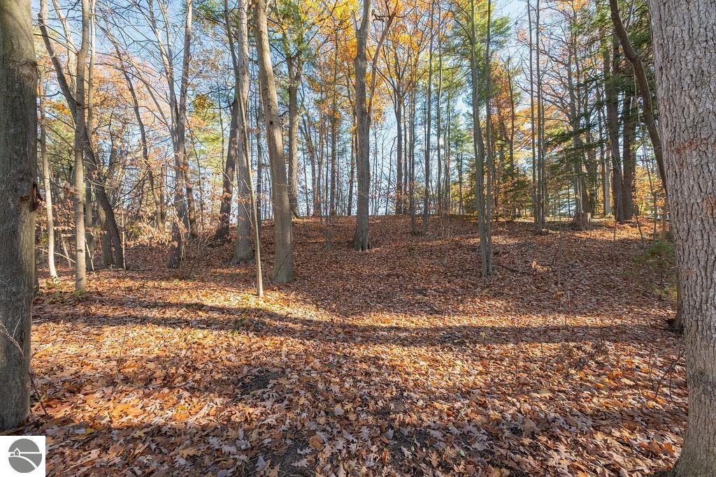 Wooded property with mature trees and fallen autumn leaves covering the gently sloping ground.