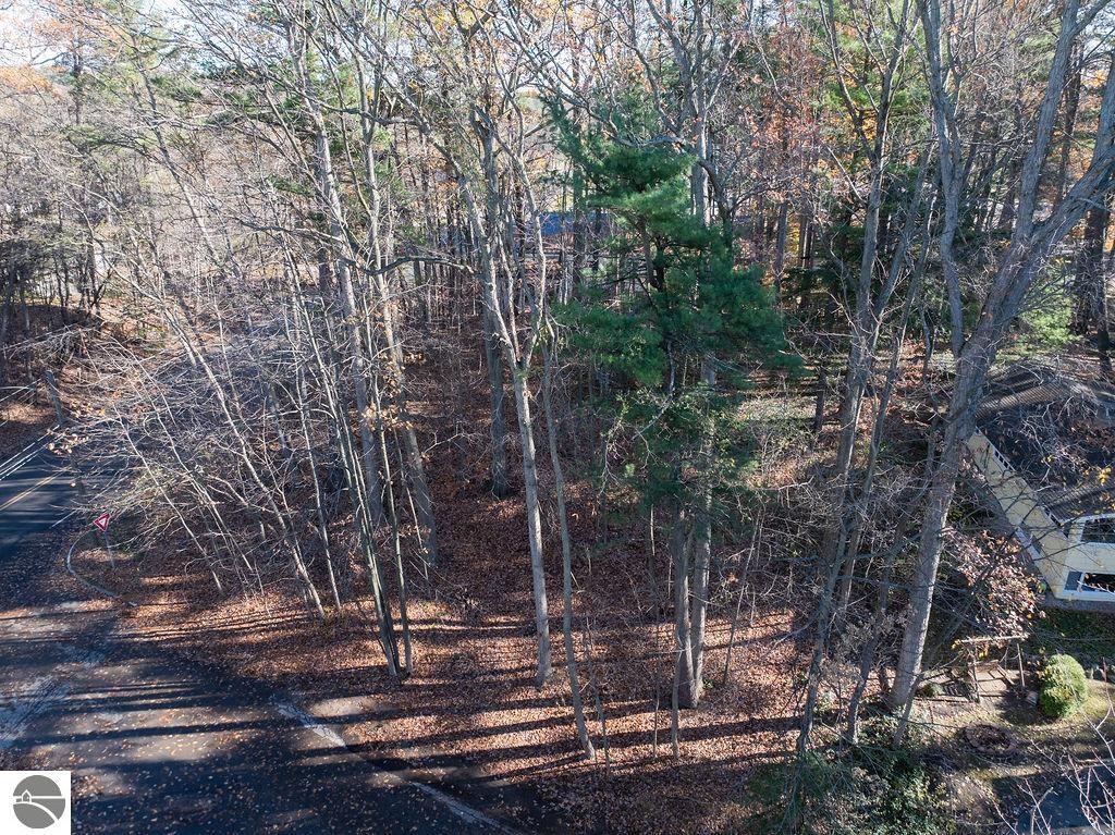 Aerial view of a wooded property with leaf-covered ground, a road, and part of a house.