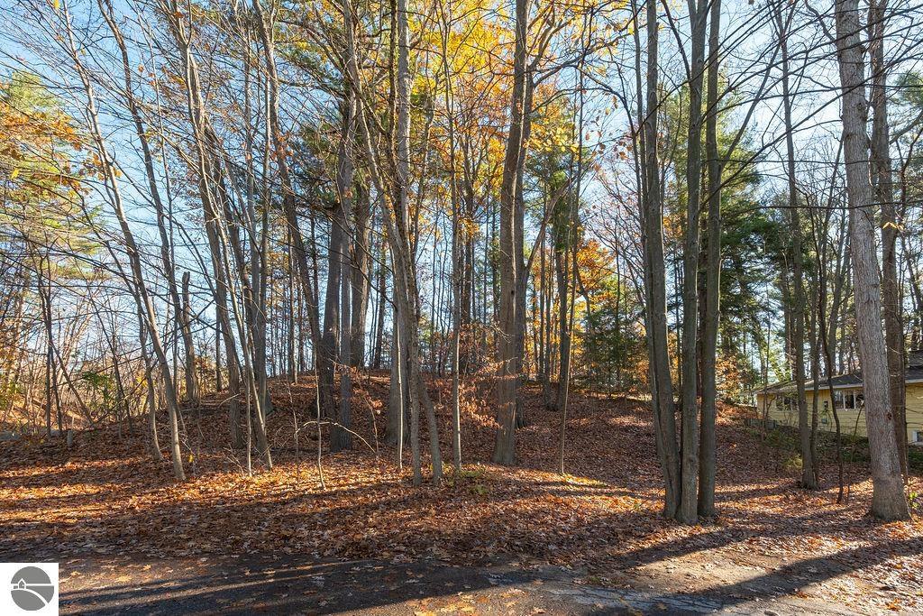 Wooded residential lot with tall trees and fallen autumn leaves; a neighboring house is visible at the right.
