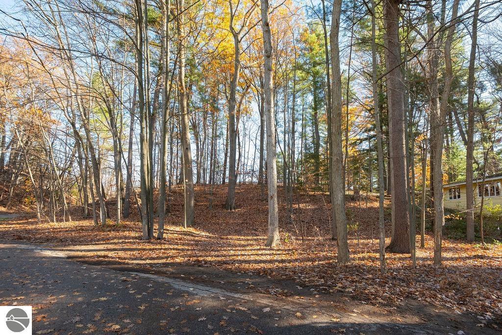 Wooded residential lot with mature trees, autumn leaves, and a paved road in front.