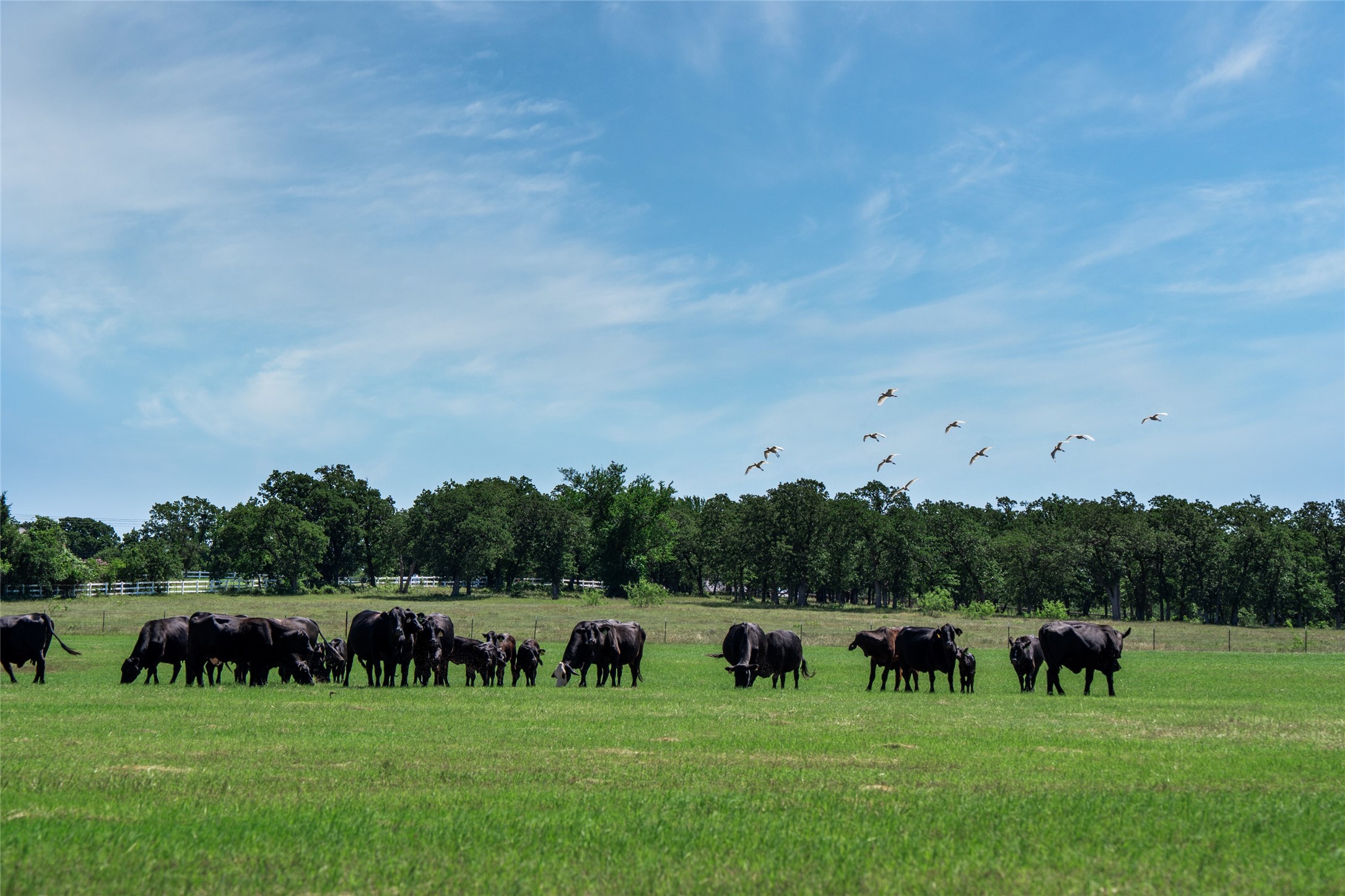 5200 Cross Timbers Road