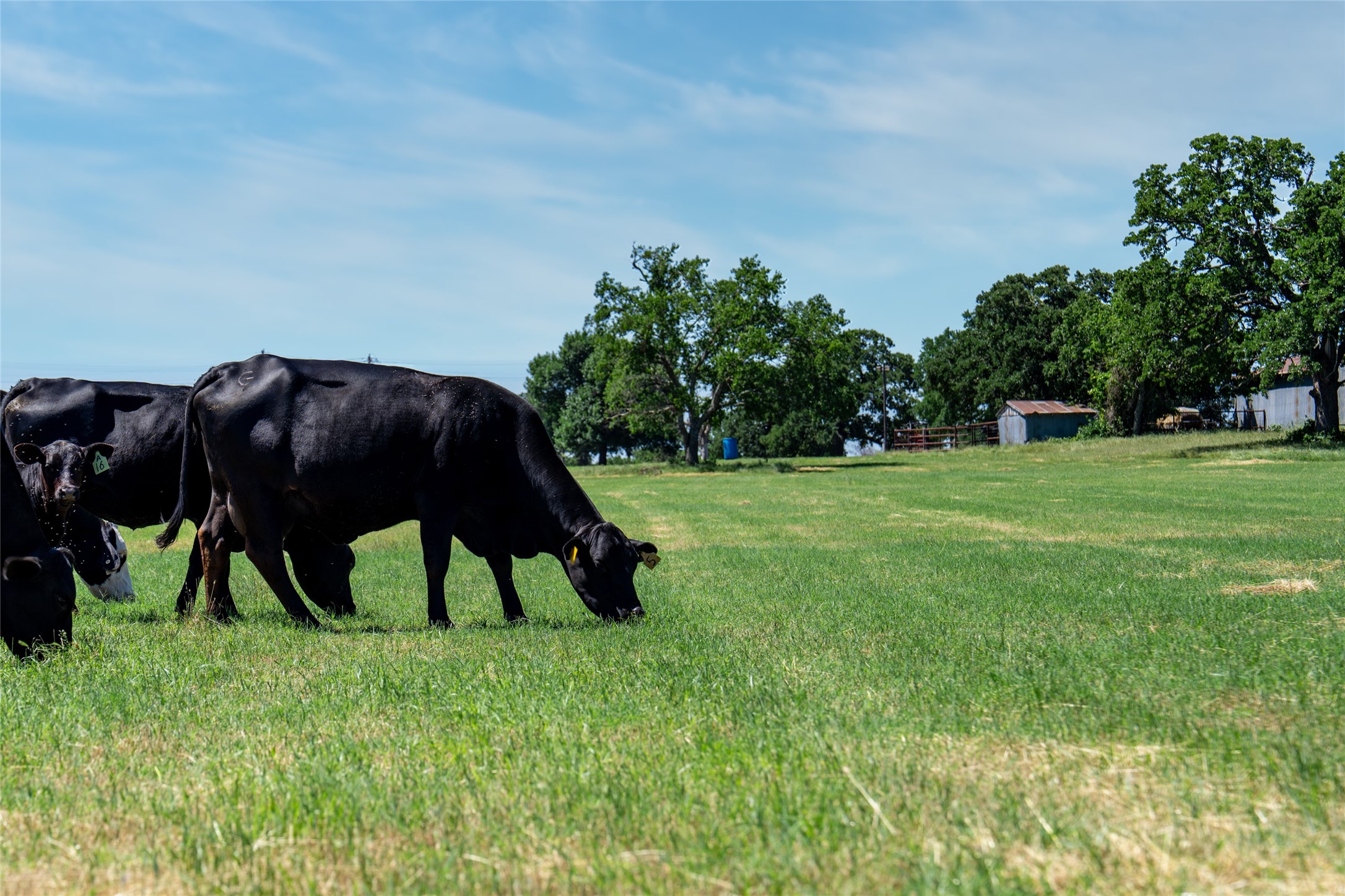 5200 Cross Timbers Road