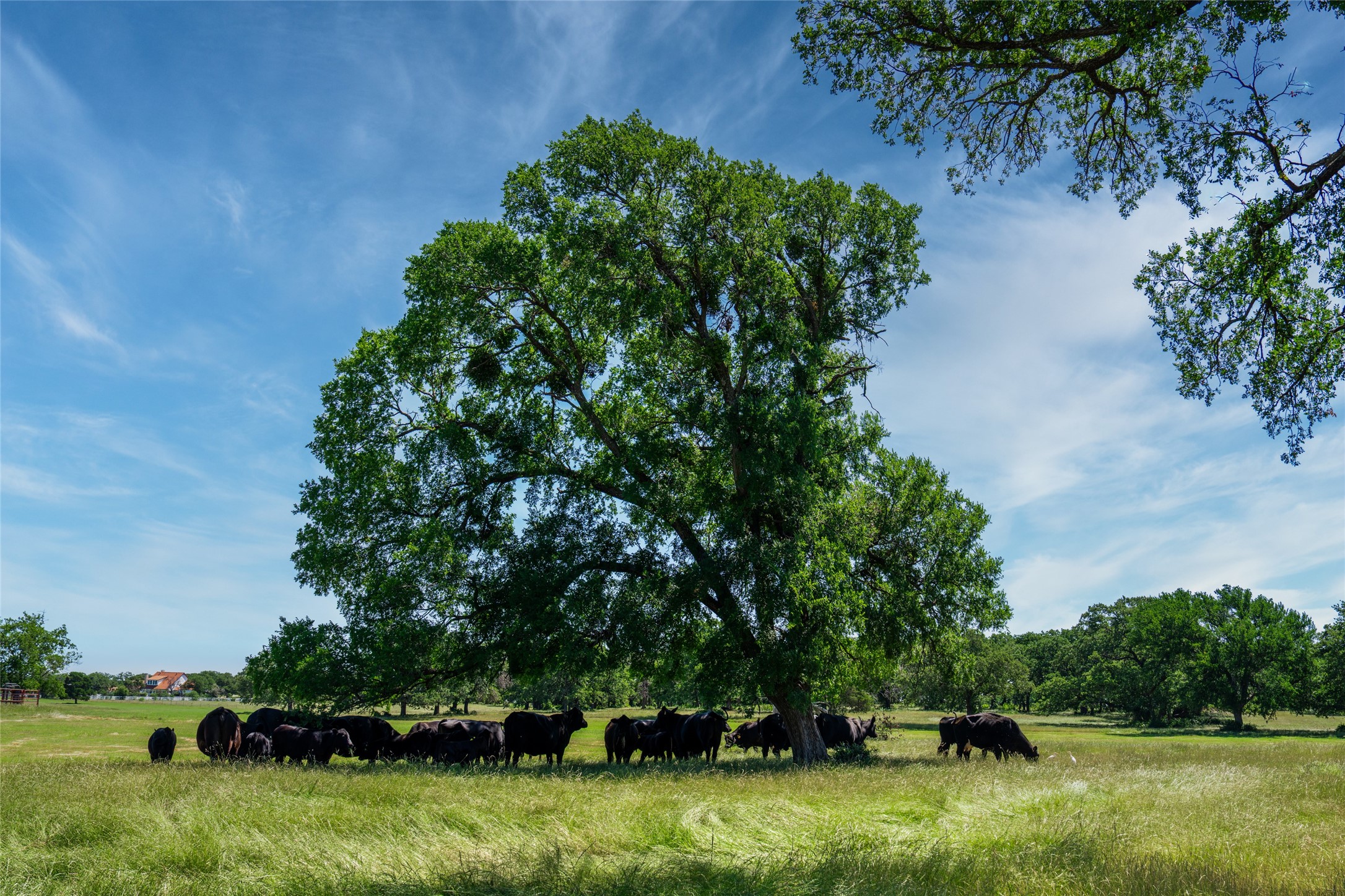 5200 Cross Timbers Road