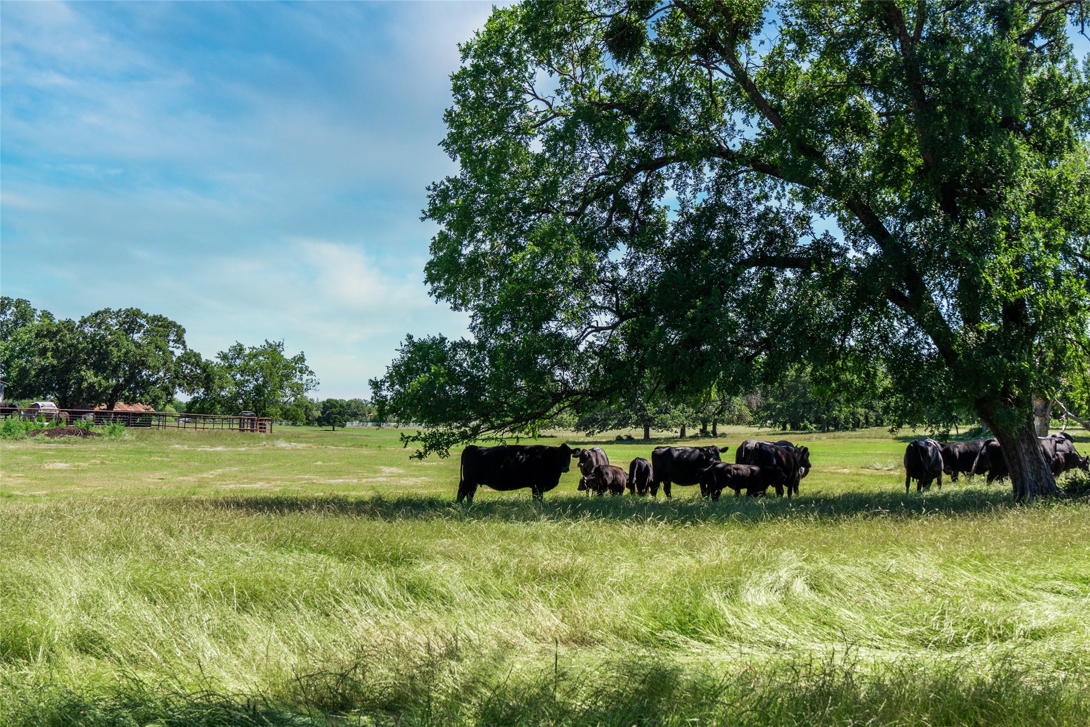 5200 Cross Timbers Road