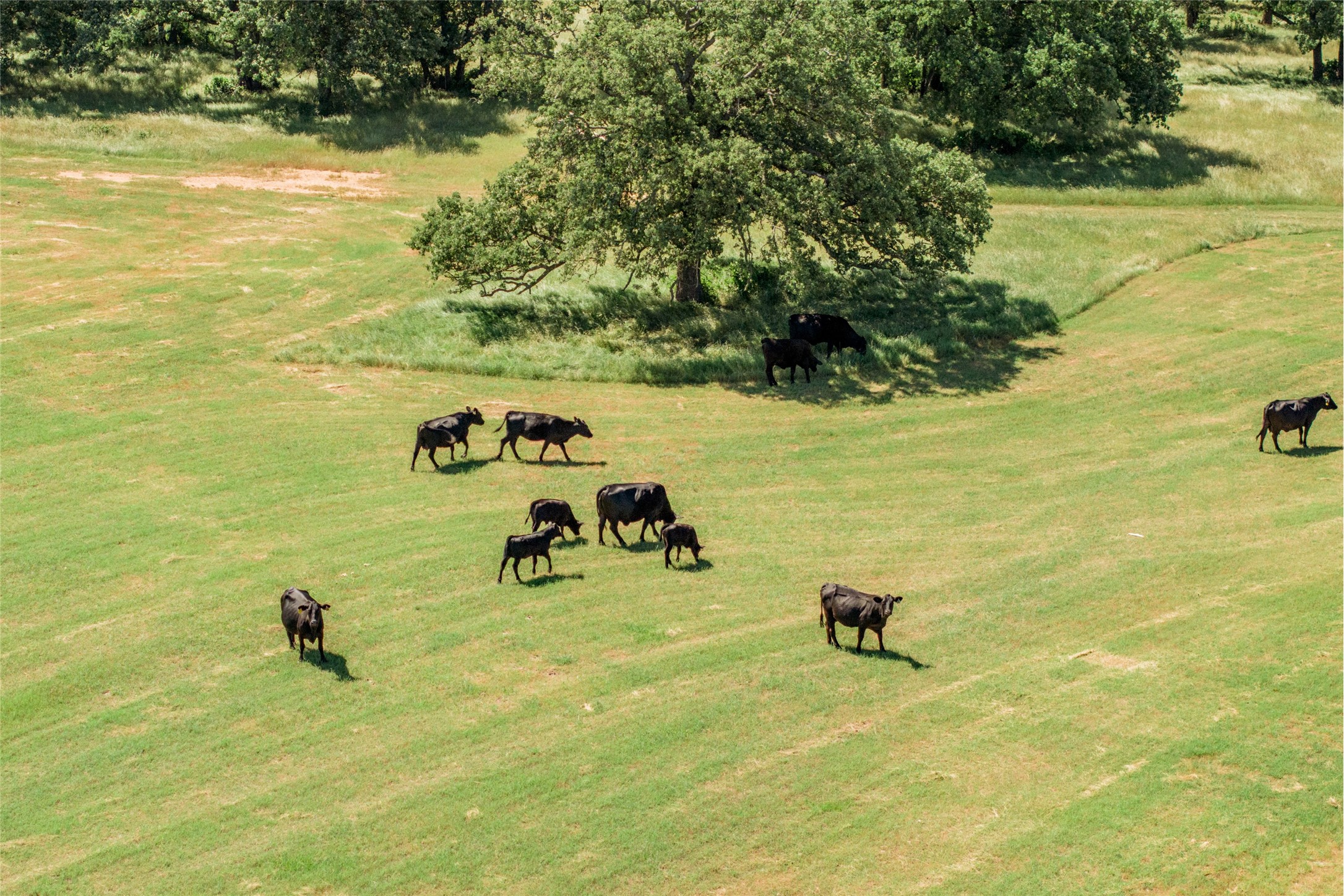 5200 Cross Timbers Road