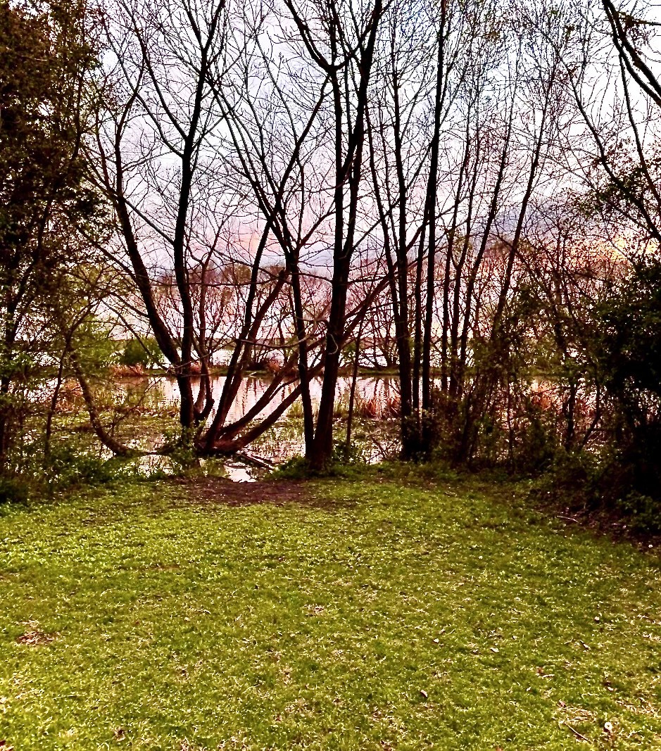 2402 Indian Trail
