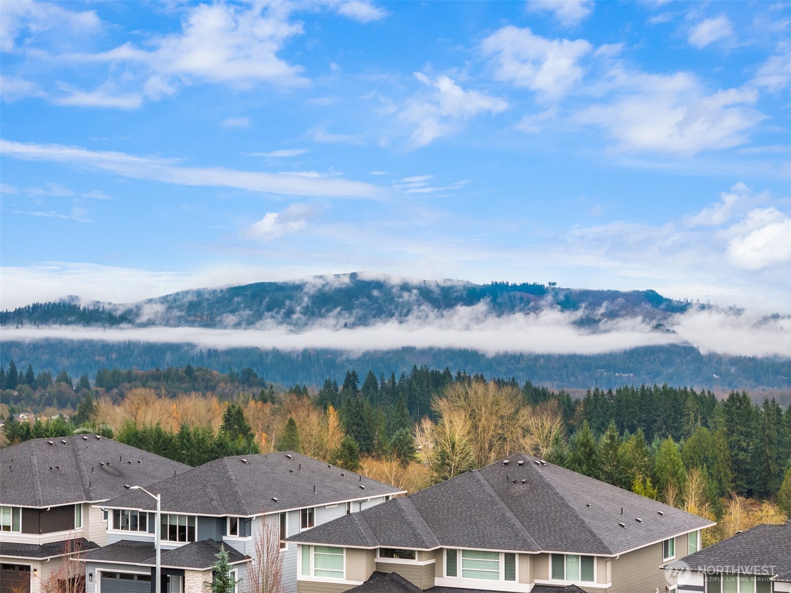 19116 135th Street SE