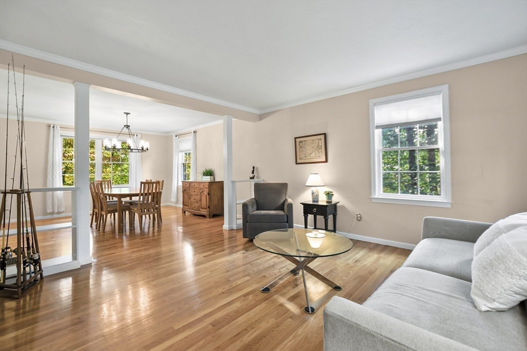 35 Albert Ray Dr
