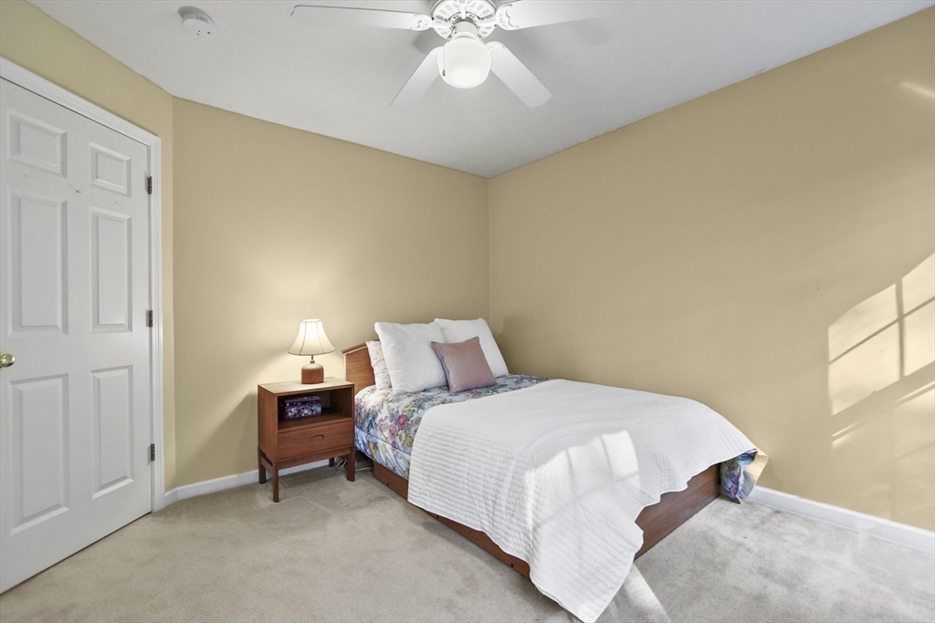 35 Albert Ray Dr